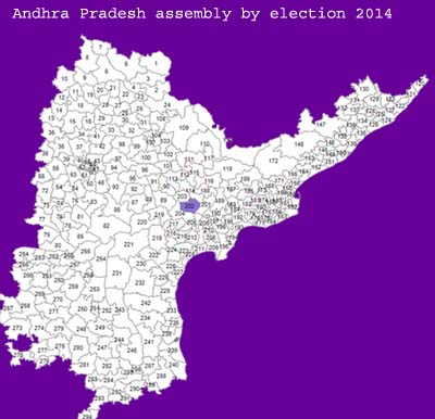 andhra pradesh assembly by election 2014