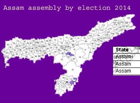assam assembly by election 2014